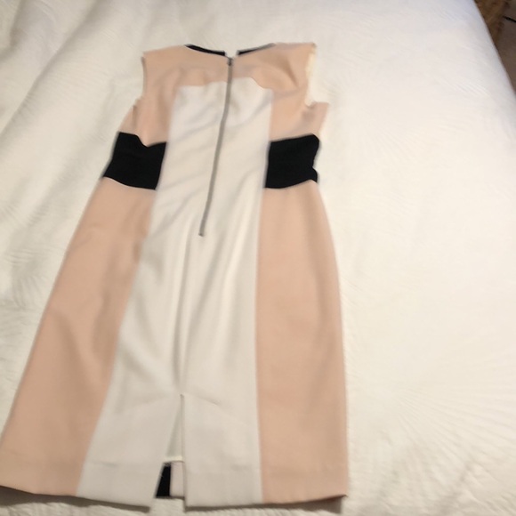BCBGMaxAzria Eloise Colorblock Sheath Dress - Picture 4 of 4